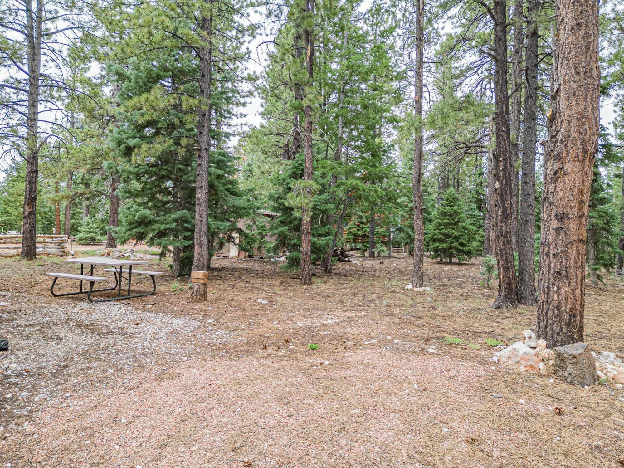 Duck Creek Village Hillside Hideawayヴィラ エクステリア 写真